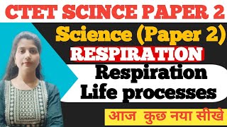 Respiration 🫁 Life processes Life of phases of respiration count respirations By neha saini [upl. by Adnohser]