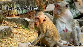 Janet was attack seriously by other monkey Jane ignore when see Janet was attack by other monkey [upl. by Nuahsad]