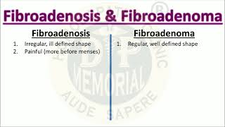 Difference between Fibroadenosis and Fibroadenoma [upl. by Nagek]