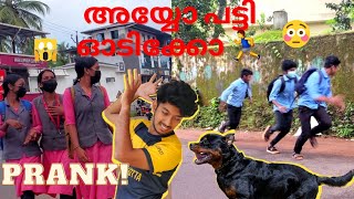 DOG BARKING PRANK 🐕  MALAYALAM PRANK  KERALA [upl. by Nedmac4]