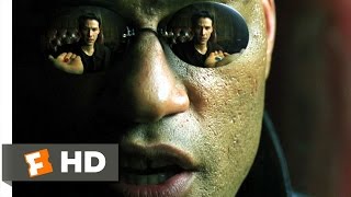 Blue Pill or Red Pill  The Matrix 29 Movie CLIP 1999 HD [upl. by Elocon773]