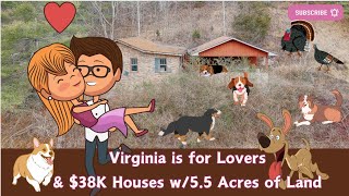 38k House w 5 Acres of LAND for Virginia Lovers [upl. by Lacim66]