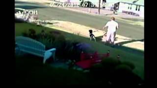 Dog attack caught on tape [upl. by Kinghorn]