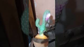 Dancing cactus 🌵🌵shortvideo entertainment youtubeshort [upl. by Farika]