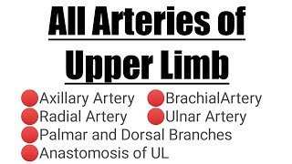 All Arteries of Upper Limb  Anastomosis of Upper Limb [upl. by Ferrell384]