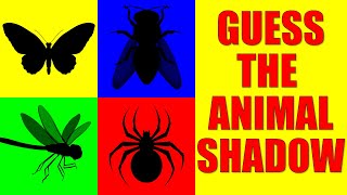 Guess the INSECTS from Their Shadow  Quiz Game for Kids Preschoolers and Kindergarten [upl. by Diad]