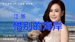 惜别的海岸 台語歌 江蕙歌曲 [upl. by Omer]