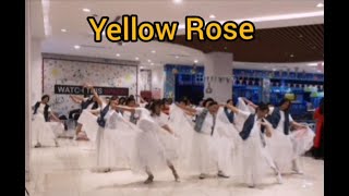 Yellow Rose  Line Dance Kenny Teh MY  January 2024 [upl. by Reneta]