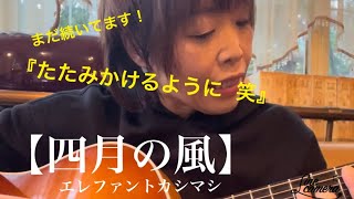 『年の瀬、エレカシを語る8』弾き語りは【四月の風】です♪たたみかけるようにも8回目！よく続いてると我ながら笑 [upl. by Irac]