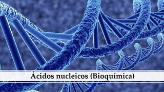 Ácidos nucleicos Bioquímica [upl. by William]