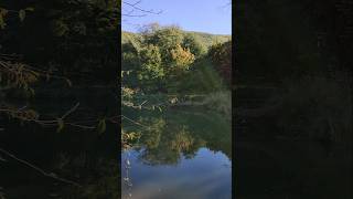 Naturpark Herbst Spaziergang Teich Wasser [upl. by Anaidiriv]