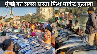 Sassoon Dock Fish Market Latest Video  Colaba Wholesale Fish Market  Colaba Fish Market Mumbai [upl. by Emmey529]