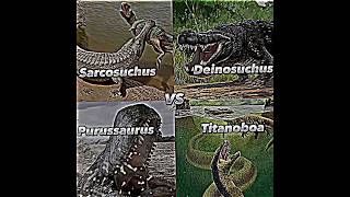 Sarcosuchus Vs Purussaurus Vs Deinosuchus Vs Titanoboa  Death Battle dinosaur edit shorts [upl. by Ludly414]