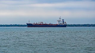 Exploring Port Huron A Relaxing Beach Walk and Discovering Hidden Gems  Michigan Adventures [upl. by Aubert464]