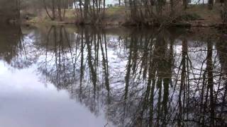 Llantarnam Ponds in Cwmbran [upl. by Annocahs954]