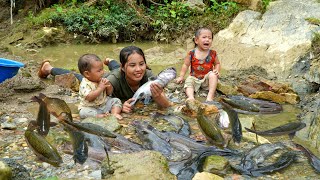 Meet a huge school of fish with your children  catch fish and trap fish on rainy days to sell [upl. by Runstadler]