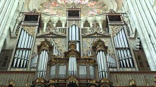 Pipe Organs  Magnificent Instruments [upl. by England]