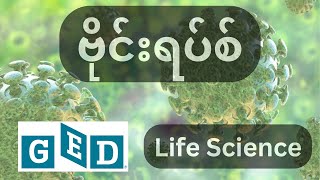 ဗိုင်းရပ်စ်ဆိုတာဘာလဲ What are viruses [upl. by Gathers188]