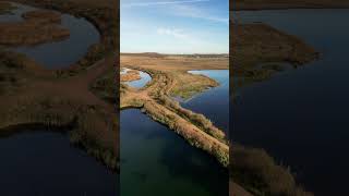 RSPB St Aidan Leeds [upl. by Corotto]