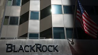 Why BlackRock Is Betting on Private Markets [upl. by Hasen]