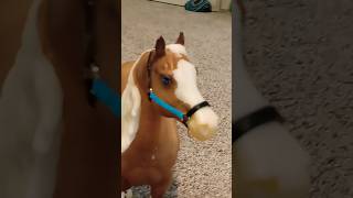 Wheres the ice cream Breyer horse video horse funny breyer [upl. by Eittak]