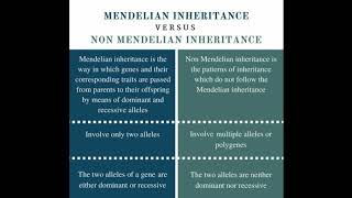 mendelian and nonmendelian inheritanceclass 12th biology inheritance and variation [upl. by Dihgirb]