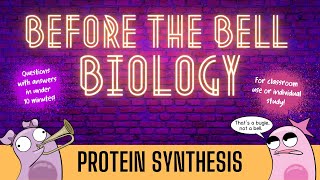 Protein Synthesis Before the Bell Biology [upl. by Etnauq]