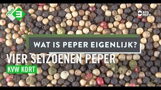 Vierseizoenenpeper bestaat niet  KEURINGSDIENST VAN WAARDE KORT 3 [upl. by Ailisab]