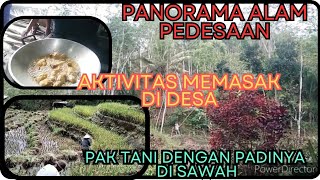 Pemandangan Alam Pedesaan  Pak Tani Dengan Padinya Di Sawah  Kegiatan Masak Sehari hari Ala Desa [upl. by Elmore743]