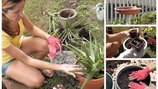 Cottage Living Planting An Herb Garden Container Gardening [upl. by Neu335]