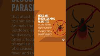 Ticks in Pets  Merck Veterinary Manual [upl. by Neurath]