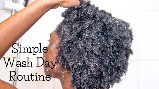 Simple Wash Day Routine  Short Natural Hair [upl. by Pleione41]