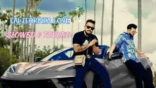 CALIFORNIA LOVE  SLOWED REVERB SONG  LOVE SONG song music tseries [upl. by Harcourt]