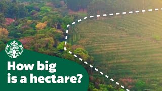 How big is a hectare [upl. by Teodoor]