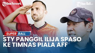 BERITA TIMNAS  Shin Taeyong Panggil Striker Bali United Ilija Spasojevic Perkuat Timnas Piala AFF [upl. by Seitz146]