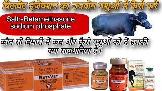 Betavet injection ka use apne pashuon me🔥🔥 कैसे करें cow buffalo farming [upl. by Yrellam]