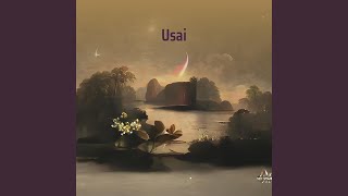 Usai [upl. by Perkin]