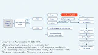 Diagnostic Algorithm for Spinal Muscular Atrophy SMA [upl. by Alaekim]