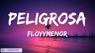 FloyyMenor  PELIGROSA  Video Letras [upl. by Adnik238]