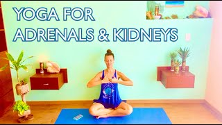 Stress Adrenals amp Kidney Set  Kundalini Yoga Video [upl. by Mcconnell]