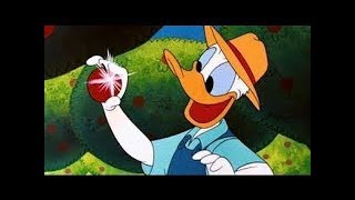 ᴴᴰ Pato Donald y Chip y Dale dibujos animados  Pluto Mickey Mouse Episodios Completos Nuevo 2018 [upl. by Adnima]