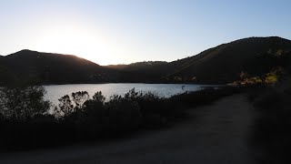 Live Birding Lake Poway [upl. by Anon]