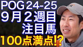 【POG2425】９月２週目デビューの注目新馬を紹介【100点満点⁉️調教師が絶賛のシホリーンが中山に登場！！】 [upl. by Inness]