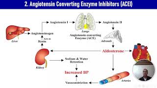 Lecture 2 Antihypertensive Drugs Part 2 II Hamdan Hegazi [upl. by Buckingham295]