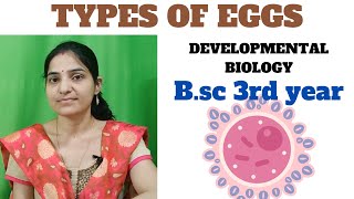 Types of Eggs in developmental biology microlecithal mesolecithal  megalecithal telolecithal [upl. by Yoral]