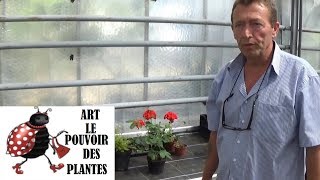 Tuto JardinageComment faire un Semis de mimosa pudica plante sensitive [upl. by Rahr]