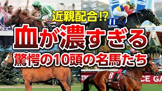 【競馬】近親配合⁉インブリードがすぎる奇跡の10頭の名馬たちに驚愕！ [upl. by Artnoed]