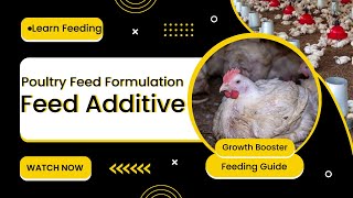 Feed Additive in Poultry  Feed Additives in Animal Nutrition  Feed Formulation For Broiler chicken [upl. by Oxley]