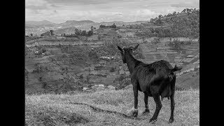 Amahirwe ntiyansekeye lyrics  François Nkurunziza  Rwanda [upl. by Rosinski]