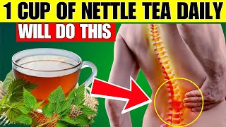 10 Powerful Nettle Tea Benefits SHOCKING RESULTS [upl. by Ferino]